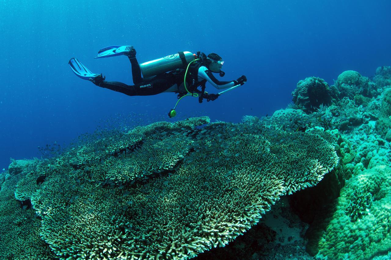 Murex Dive Resort Manado Buitenkant foto